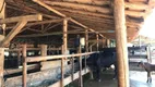 Foto 15 de Fazenda/Sítio com 4 Quartos à venda, 310000m² em , Rio Casca