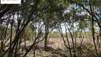 Foto 12 de Fazenda/Sítio à venda, 20000m² em Colônia Murici, São José dos Pinhais