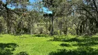 Foto 3 de Fazenda/Sítio à venda, 20000m² em , Urubici