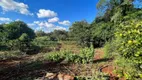 Foto 13 de Lote/Terreno à venda, 4550m² em Vila Oliveira, Rolândia