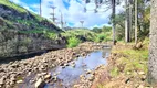 Foto 42 de Fazenda/Sítio à venda, 90000m² em Perico, São Joaquim