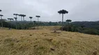 Foto 23 de Fazenda/Sítio com 2 Quartos à venda, 300000m² em Queimada Grande, Rancho Queimado