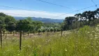 Foto 16 de Lote/Terreno à venda, 120000m² em Vale dos Vinhedos, Bento Gonçalves