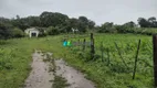 Foto 9 de Fazenda/Sítio com 1 Quarto à venda, 155m² em Zona Rural, Fortuna de Minas