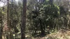 Foto 14 de Lote/Terreno com 1 Quarto à venda, 30000m² em , Urubici