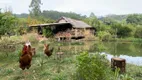 Foto 7 de Fazenda/Sítio com 3 Quartos à venda, 9982m² em , Portão