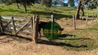 Foto 8 de Fazenda/Sítio à venda, 1500400m² em Zona Rural, Hidrolândia