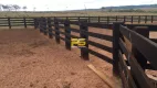 Foto 6 de Fazenda/Sítio com 1 Quarto à venda, 12000m² em , Ribeirão Cascalheira