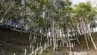 Foto 37 de Fazenda/Sítio com 3 Quartos à venda, 36300m² em Roça Velha, São José dos Pinhais