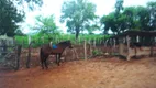 Foto 2 de Fazenda/Sítio com 2 Quartos à venda, 3200000m² em , São Paulo do Potengi
