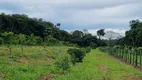 Foto 14 de Fazenda/Sítio à venda em Vila Pitinga, Presidente Figueiredo