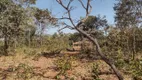 Foto 46 de Fazenda/Sítio com 3 Quartos à venda, 20000m² em Area Rural de Planaltina, Brasília