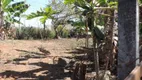 Foto 14 de Fazenda/Sítio com 1 Quarto à venda, 100m² em Barreiro Rural, Taubaté