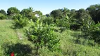 Foto 29 de Fazenda/Sítio com 2 Quartos à venda, 152700m² em Agro Brasil, Cachoeiras de Macacu