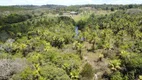 Foto 2 de Lote/Terreno à venda, 90000m² em Porto Sauípe, Entre Rios