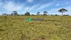 Foto 2 de Fazenda/Sítio com 1 Quarto à venda, 123m² em Zona Rural, Felixlândia