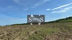 Foto 2 de Fazenda/Sítio com 3 Quartos à venda, 3872000m² em Serrinha, Campos dos Goytacazes