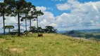 Foto 5 de Fazenda/Sítio à venda, 20000m² em Vacas Gordas, Urubici