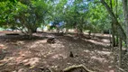 Foto 19 de Fazenda/Sítio com 3 Quartos à venda, 88330m² em Zona Rural, Bela Vista de Goiás