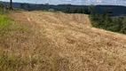 Foto 8 de Fazenda/Sítio com 2 Quartos à venda, 1016400m² em Zona Rural, Rio Negrinho