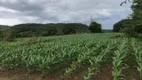 Foto 13 de Fazenda/Sítio com 3 Quartos à venda, 2560000m² em Zona Rural, Rio Quente