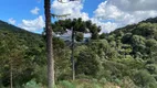 Foto 10 de Fazenda/Sítio à venda, 2000m² em Zona Rural, Urubici