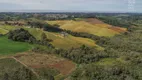 Foto 19 de Lote/Terreno à venda, 20000m² em Ferraria, Campo Largo