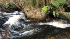 Foto 51 de Fazenda/Sítio com 3 Quartos à venda, 400000m² em Recanto da Mata, Juiz de Fora