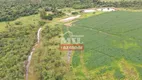 Foto 13 de Fazenda/Sítio à venda, 39m² em Zona Rural, Santa Cruz de Goiás