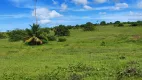 Foto 9 de Fazenda/Sítio com 2 Quartos à venda, 106m² em Zona Rural, Monte Alegre