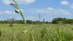 Foto 2 de Lote/Terreno à venda, 15000m² em Mato Grande, Canoas