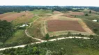 Foto 6 de Fazenda/Sítio à venda, 50000m² em Vila São Tiago, Piraquara