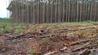 Foto 12 de Fazenda/Sítio com 3 Quartos à venda, 1100000m² em Centro, Biquinhas