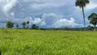 Foto 14 de Fazenda/Sítio com 7 Quartos à venda, 600m² em , Colinas do Sul