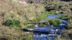 Foto 5 de Fazenda/Sítio à venda, 293000m² em , Cambará do Sul