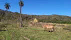 Foto 17 de Fazenda/Sítio com 3 Quartos à venda, 660000m² em Urucuia, Esmeraldas