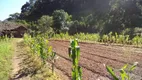 Foto 7 de Fazenda/Sítio com 3 Quartos à venda em Providencia, Teresópolis