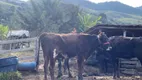 Foto 13 de Fazenda/Sítio com 1 Quarto à venda, 6000m² em Zona Rural, Delfim Moreira