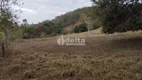 Foto 10 de Fazenda/Sítio com 1 Quarto à venda, 48000m² em Segismundo Pereira, Uberlândia