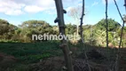 Foto 8 de Fazenda/Sítio à venda, 6000m² em , Mateus Leme