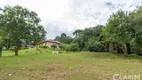 Foto 47 de Fazenda/Sítio com 3 Quartos à venda, 230m² em Botiatuva, Campo Largo