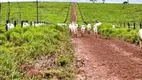 Foto 7 de Fazenda/Sítio à venda, 1045m² em Moraes Almeida, Itaituba