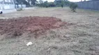 Foto 4 de Lote/Terreno para alugar, 479m² em Campeche, Florianópolis