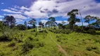 Foto 31 de Fazenda/Sítio com 3 Quartos à venda, 210m² em Colonia Santana, São José