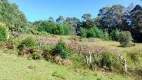 Foto 2 de Fazenda/Sítio com 3 Quartos à venda, 41044m² em Linha Avila, Gramado