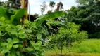 Foto 11 de Fazenda/Sítio à venda em Vila Pitinga, Presidente Figueiredo