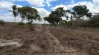 Foto 11 de Fazenda/Sítio com 4 Quartos à venda, 100m² em Zona Rural, Vera Cruz