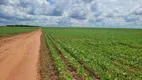 Foto 4 de Fazenda/Sítio à venda em Honoropolis, Campina Verde