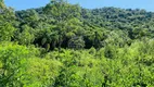 Foto 13 de Lote/Terreno à venda, 197780m² em Betânia, Angelina