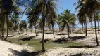 Foto 5 de Lote/Terreno com 1 Quarto à venda, 300000m² em Mangue Seco, Jandaíra